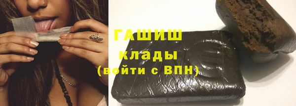 твердый Новодвинск
