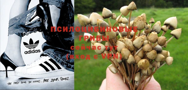 mix Нязепетровск