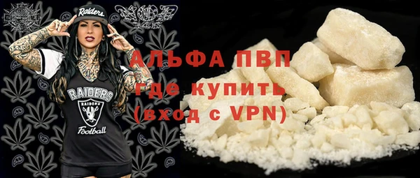 гидра Новозыбков