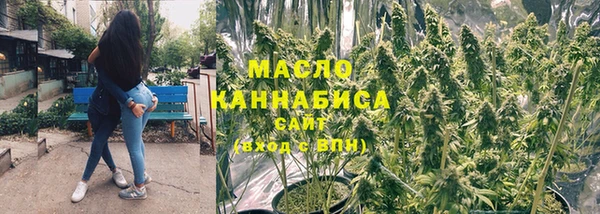 гидра Новозыбков