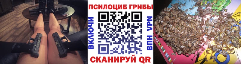 ОМГ ОМГ зеркало Россошь Псилоцибиновые грибы Psilocybine cubensis